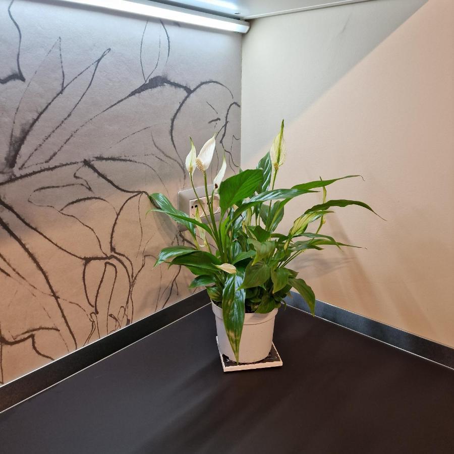 Corso Vittorio 364 Apartment กาญารี ภายนอก รูปภาพ